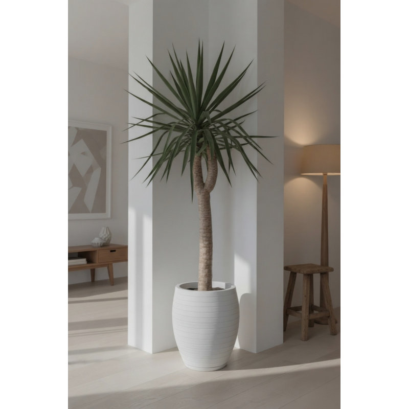 Pot à fleurs rond Clumm ECOBO EcoFriendly, utilisation intérieure Ravina, utilisation quatre saisons, Blanc cassé / blanc