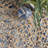 Destrie Handmade Braided Denim and Jute Blue/Beige Rug-41657658