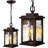 10'' Hardwired Outdoor Hanging Light-100015606