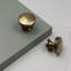 30mm Antique Brass Layered Round Knob