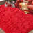 8x10 ft Red Shag Area Rugs for Living Room, Non-Slip Indoor Modern Plush Shag Carpets-552286397