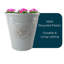 Pot Planter