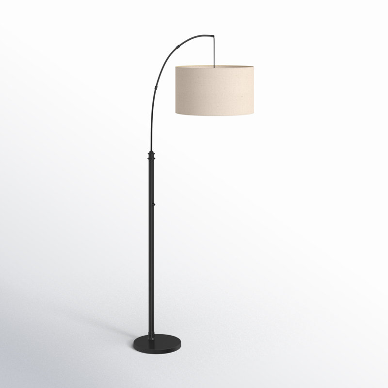 Finley 75.5'' Arched Floor Lamp, Black