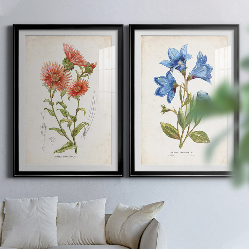 " Botanical I " 2 - Pieces, White, Black Framed Paper, 36.5" H x 26.5" W x 1" D