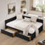 Canapé-lit et lit de jour capitonné en velours capitonné 3 en 1 - 2 tiroirs de rangement, dossier / accoudoirs ergonomiques, capacité de 300 lb pour le salon / la chambre / le bureau-203789905
