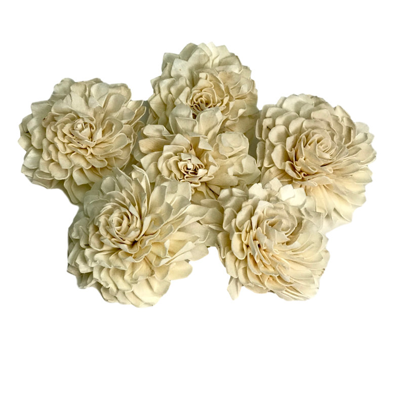 Pied de Dahlia fabriqué à la main organiquement durable