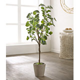Arbre à feuilles persistantes 30,7 po