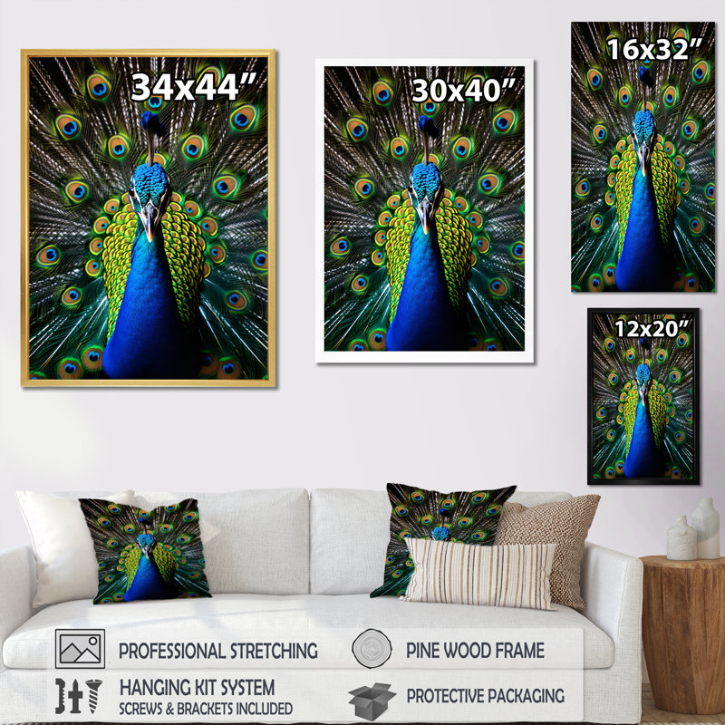 Yemill Teal Radiant Peacock - impressions sur toile de paon, Cadre simple noir, H 20 po x l 12 po