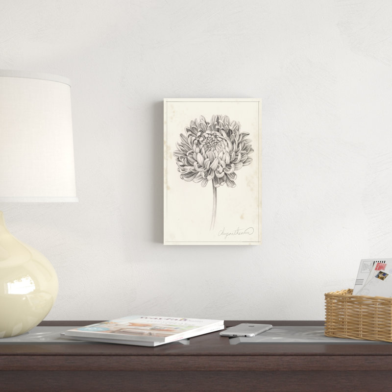 Graphite Chrysanthemum Study II, H 12 po x l 8 po x P 1,25 po