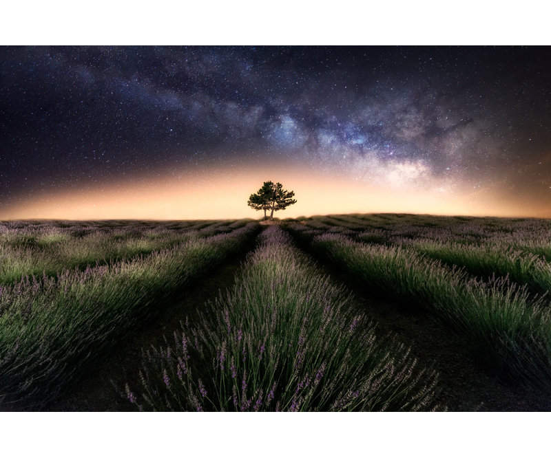 Wrapped Canvas Print, 50.8 cm H x 76.2 cm W