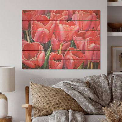 Tulipes Tranquillity I - Tulipes, art mural sur bois de pin naturel