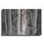 "Aspens IV" par Debra Van Swearingen-1557503194