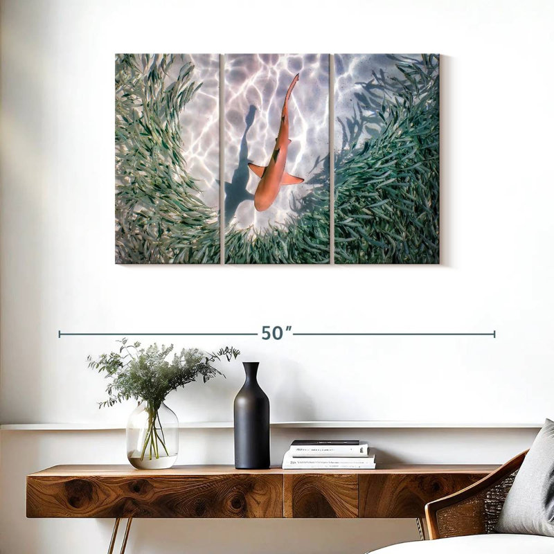 Brampt Baby Blacktip Reef Shark, 24" H x 38" W