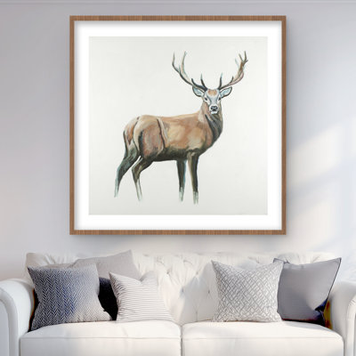 Deer