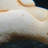 Genuine Gogotte Sandstone Concretion Sculpture (0.26 Lbs)