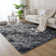 Alaunna Standard Shag Area Rug