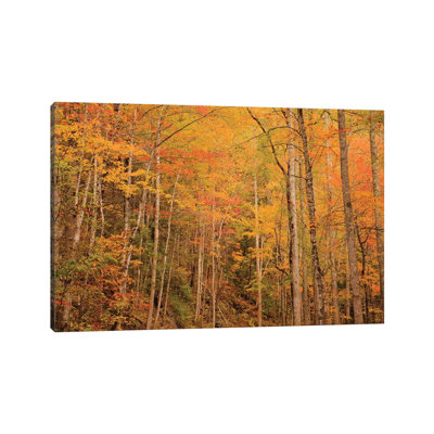 USA, Tennessee. Fall Foliage Along The Little River In The Smoky Mountains. by Joanne Wells - Wrapped Canvas Print