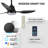 42" Smart Ceiling Fan With Lights Remote