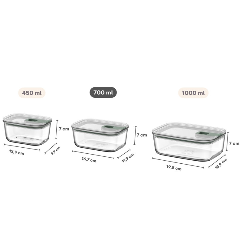 EASYCLIP 2.0 23Oz Rectangular Borosilicate Glass Food Storage Container, Made In Holland