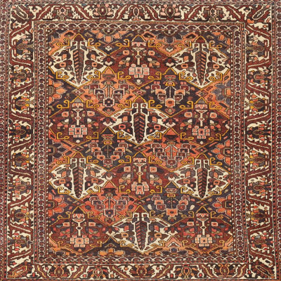 Oriental Indoor Rug