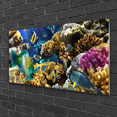 Glass Print Wall Art 100X50cm Image Printed On Glass Decorative Wall Picture Behind Toughened / Tempered Safety Real Glass For Kitchen & Living Room Theme: Coral Reef Nature