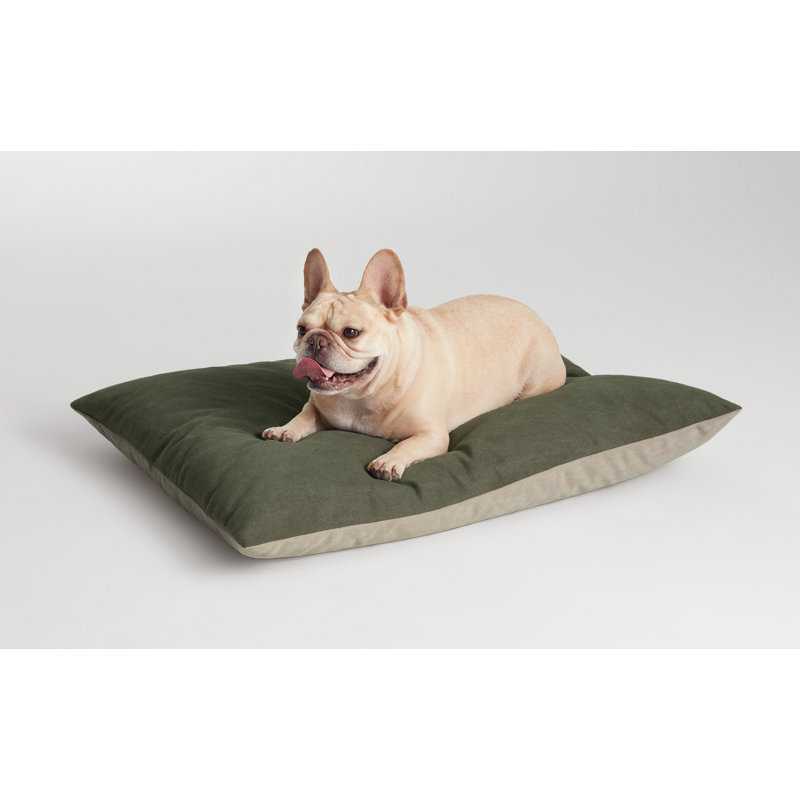 Signal Polyester Dog Pillow/Classic, Copper Velvet, 28" H x 35" W