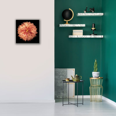  'Dahlia 1' by Debra Van Swearingen Canvas Wall Art, 18" x 18"