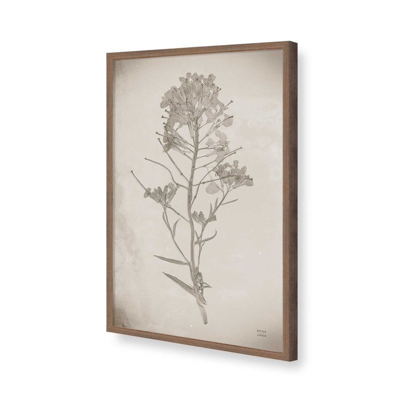 «Wildflower Journal Vintage I» par Nathan Larson, reproduction d'art, H 48 po x l 32 po, Brun