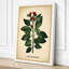 Specimen Botanical - Wrapped Canvas-1701250088-1701250262