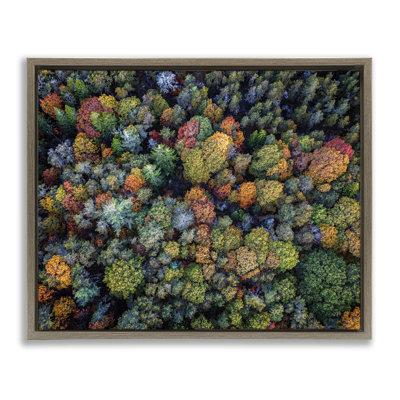 Art mural sur toile flottante encadrée par Rick Berk