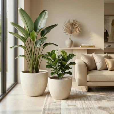 Ensemble de 2 pots à fleurs ronds en béton pour l'extérieur, fait à la main à la main avec trous de drainage