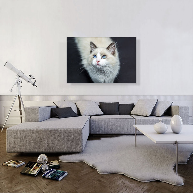 Ragdoll Eyes - Reproduction de photo sur toile tendue, H 26 po x l 40 po x P 0,75 po