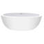 Olivia 1 66" Freestanding Soaking Bathtub