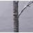 Lighted Trees & Branches-2136602323