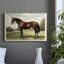 Animaux, paysage, série CCVII-618512963