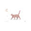 Chat - impression d'art graphique-52836505-52836506-52836510