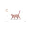 Chat - impression d'art graphique-52836510-52836506-52836511