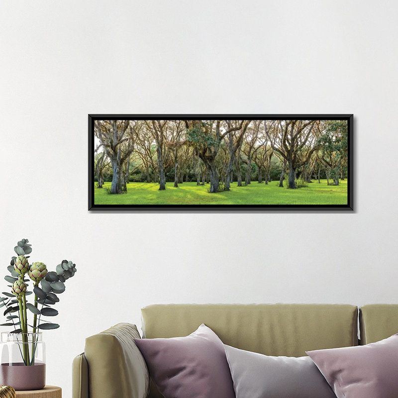 « tree », reproduction de photo sur toile, H 16 po x l 48 po x P 1,5 po, Toile encadrée noire