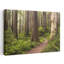 «Lost World», reproduction d'art contemporain de paysage forestier contemporain-2083479603