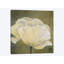 «Poppy in White I», impression sur toile-29090085-72779425-72779420