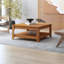 Weddel Basilico Coffee Table with Storage-2041394283