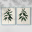 «Soft Greenery I», reproduction encadrée de qualité supérieure - prête à être accrochée - aucun clou requis - aucun clou requis-262908202-262908245