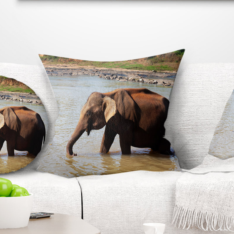 Éléphant dans l'eau au sri lankais - Coussin imprimé animal, 18 po x 18 po, Coussin décoratif