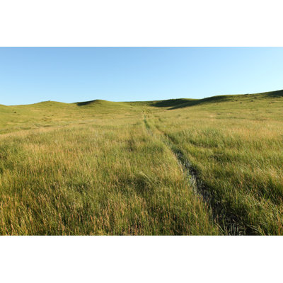 Open Prairie by Threespeedjones