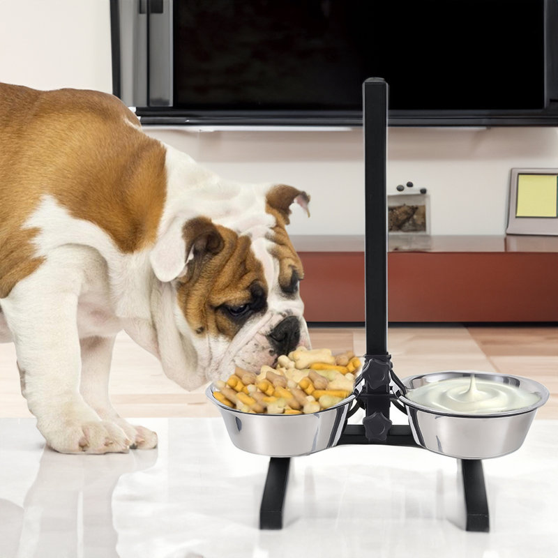 Pet Bowl
