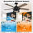 Rippeon 52'' Ceiling Fan with Light Kit-648324873