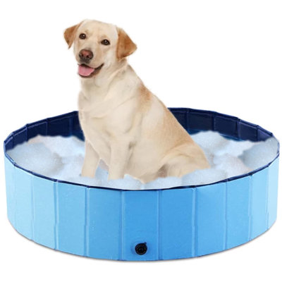 Sherri Plastic Foldable Dog Pool
