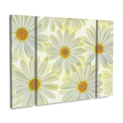 " Daisy Flowers " by Cora Niele 3 - Pieces