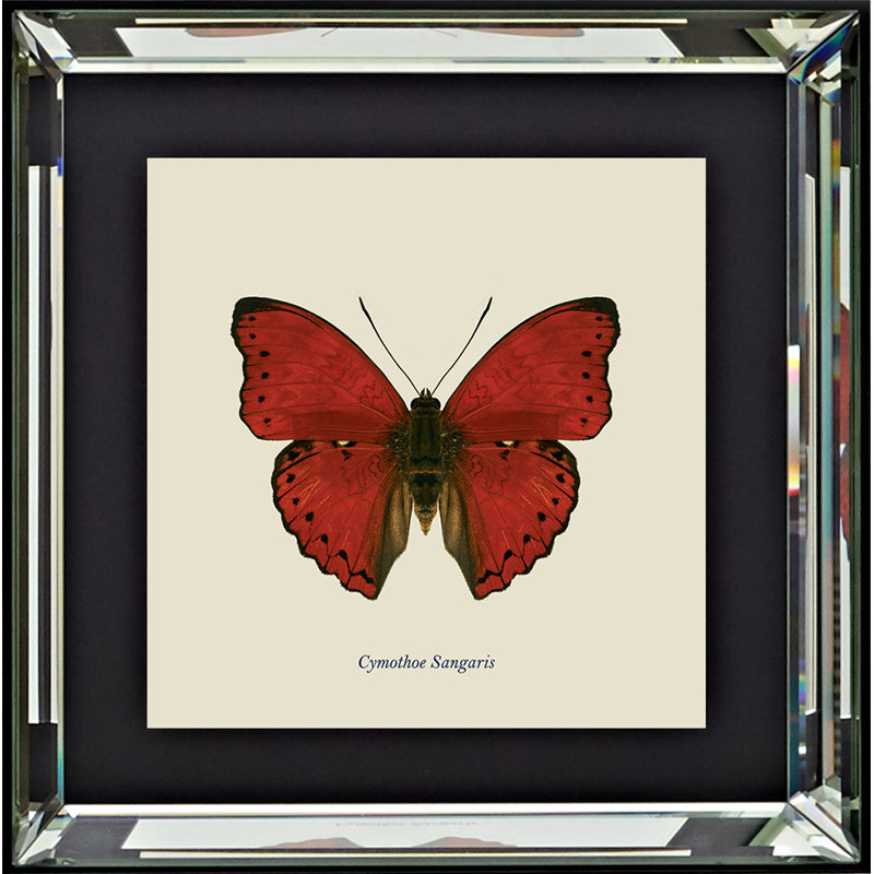 Single Picture Frame Print on Wood