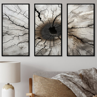 «Tree Cut Stump Beauty I - Tree Redwood», ensemble de reproduction d'art mural